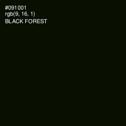 #091001 - Black Forest Color Image